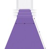 Purple Carpet Sidewalk Runner Pack of 2