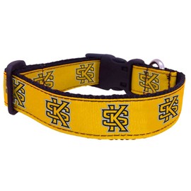 College Dog Collar (Small, Kennesaw State)