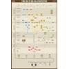 Timeline of Biblical Composition, 24x36" Poster