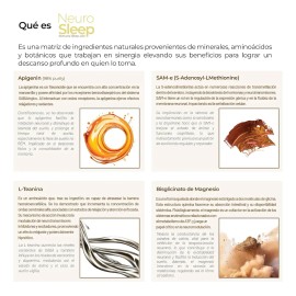 Magnesio Y Teanina Sueño Profundo Sin Melatonina 200 Caps