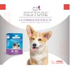 GI-Restore