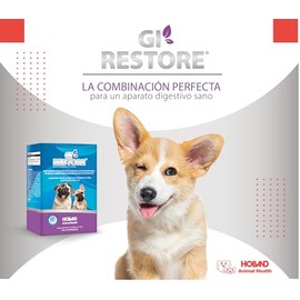 GI-Restore