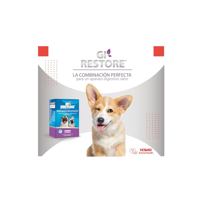 GI-Restore