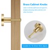 JIZZU 6 Pcs Solid Brass Gold Drawer Knobs [20 *