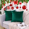 CXTAI 2x Dark Green Velvet Cushion Covers Decorative Square Throw