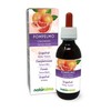 Grapefruit (Citrus paradisi) Seeds Alcohol-Free Mother Tincture Naturalma | Enriched