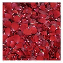 Flyboy Naturals Valentine's Red Rose Petals -15 Cups of Preserved Freeze-Dried Rose Petals. Wedding Rose Petals from