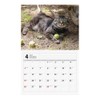 2026 Tatsumi Publishing Calendar/Nara Mitsuaki Iwatami
