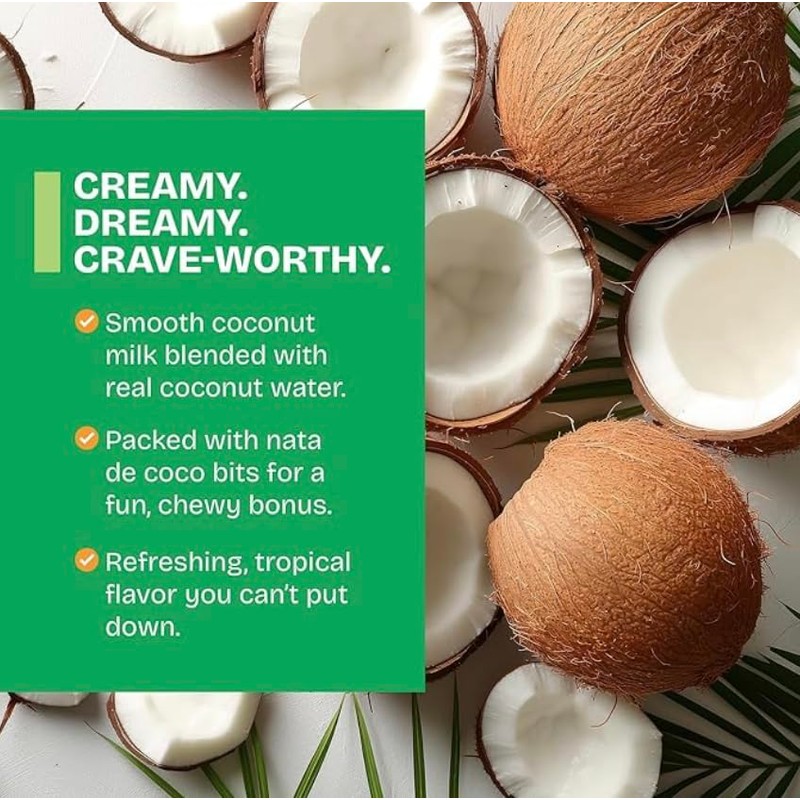 Kuii Coconut Milk Drink – Original Coconut Flavor, 12 Count