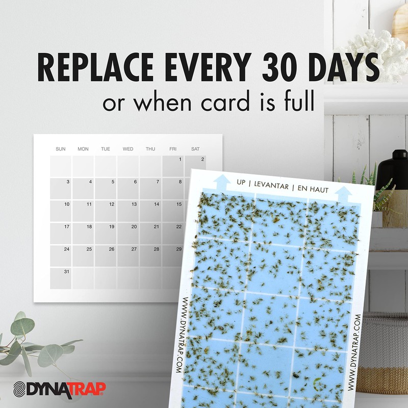DynaTrap 230093 Replacement StickyTech Glue Cards for Flylight Indoor Plug-In