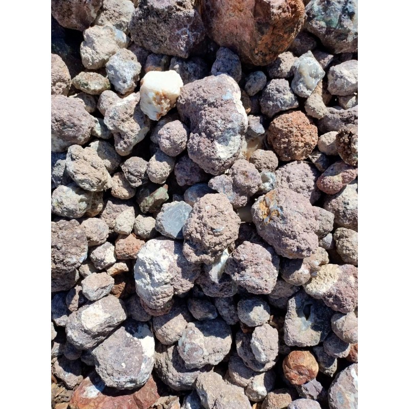 Thundereggs, Oregon, 4 Pound lot, As Found Uncut Rough, Agate