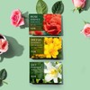 Happy Bath [해피바스][AP]해피바스 두보레 비누 16입 (옵션) [01 백합 비누 100g 4입 x 4] [Happy Bath][AP] Happy Bath Dubore Soap 16 pcs (Options) [01 Lily Soap 100g 4 pcs x 4]