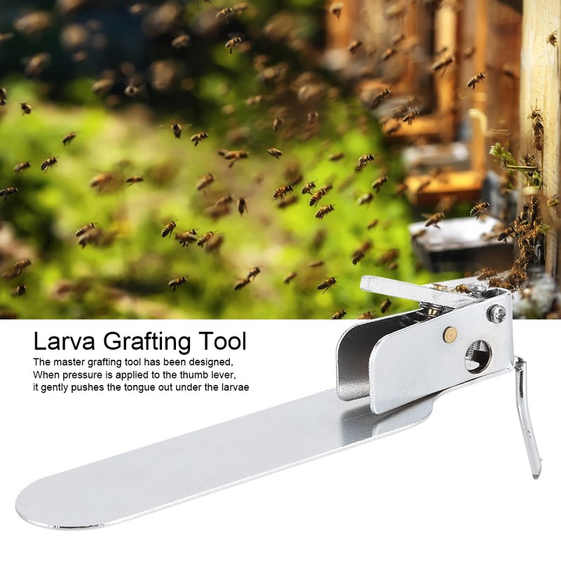 Beekeeping Grafting Needle Shift Pin Insect Larva Transferring Tool SingleEnd