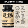 Hongo Melena León Extracto Proveniente Micelio Polisacáridos Piperina Pimienta Negra