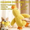 CARxlythic 2pcs Anti-stress Duck Dog, Chew Toy for Dogs for