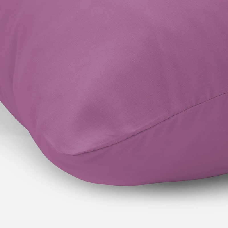 Aspire Homeware Pillow Cases 2 Pack – 100% Brushed Microfiber
