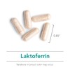 Nutricology Laktoferrin - Immune Peptide from Colostrum, Iron Support -