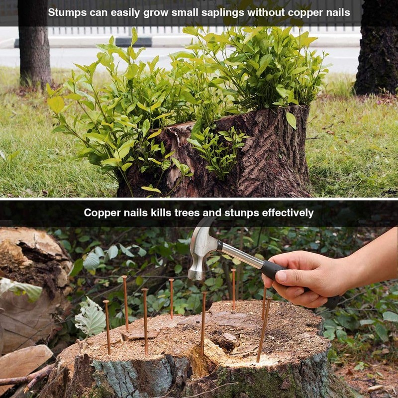 20Pcs Copper Nails for Killing Trees Stump Root 3.5 Inch