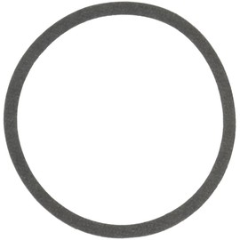 BELL & GOSSETT P04890 Replacement Body Gasket-556298