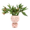 Face Head Planter Succulent Plant Flower Pot Resin Container Face
