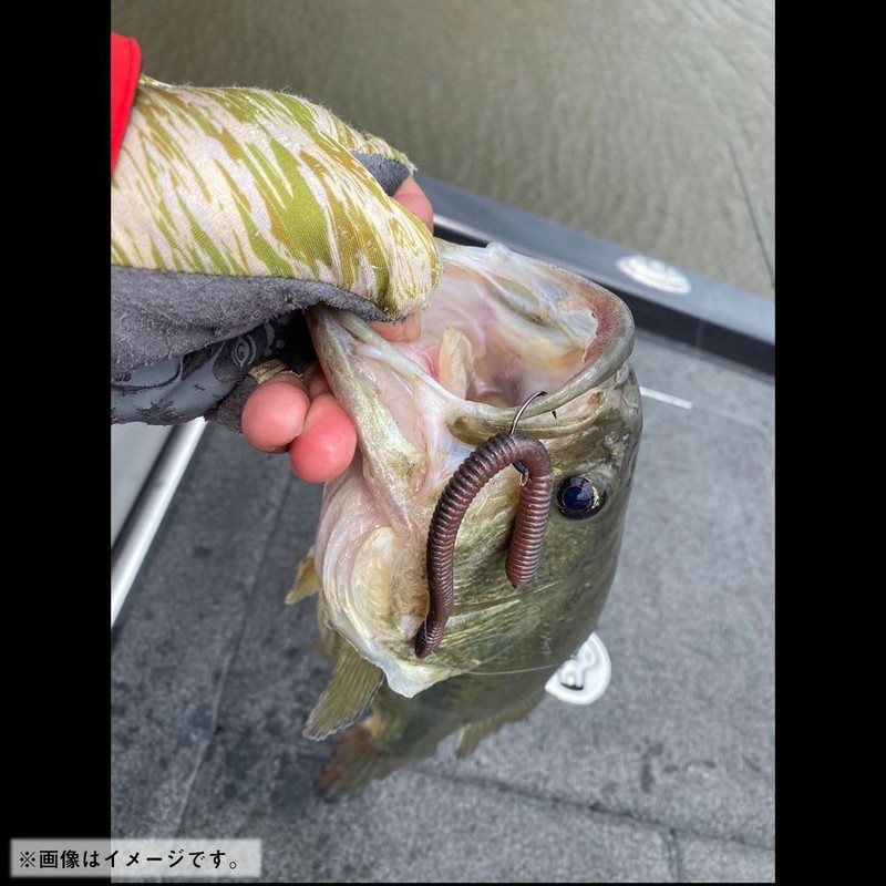 Daiwa 24 STEEZ Cat Straight 5.8 Green Pumpkin