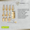 LION TOOLS Kit Accesorios Aire Para Compresor De 17 Piezas