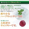 Propolice Candy Candy from Brazil Propolis High Concentration Blend, 2