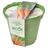 Ecot Planting Kit and Pot