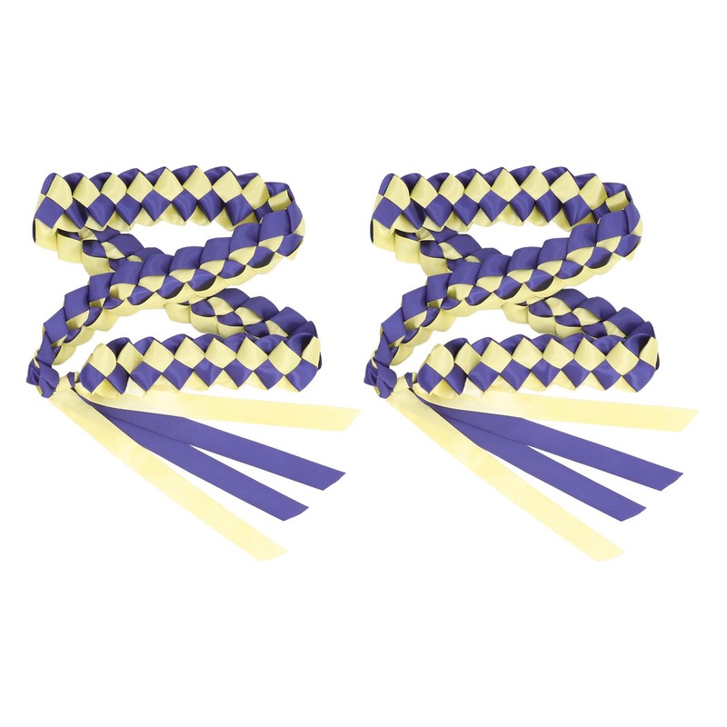 2Pcs Ribbon Leis Double Braided Necklace Graduation Congrats Accessory for