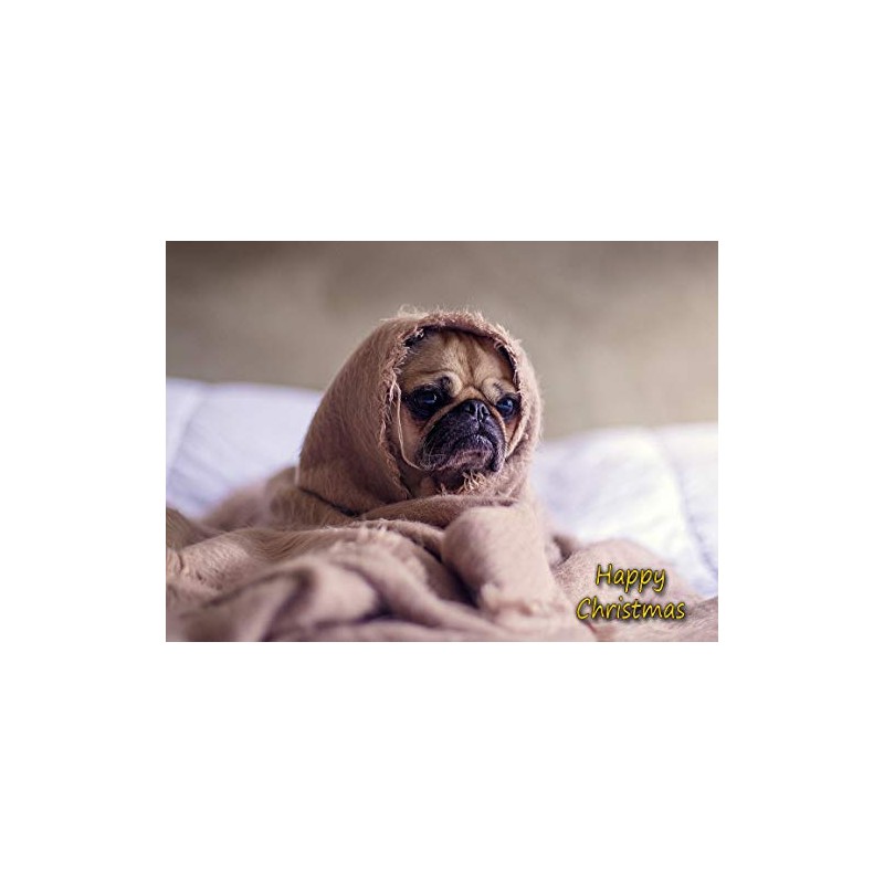 Pug Dog Christmas Card 'Happy Christmas' - Special Animal Xmas
