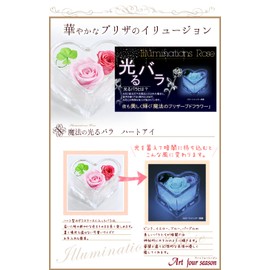 ArtFour Season Heart "Glowing Rose" Firefly with Four Leaf Clover Preserved Flowers