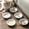 Ceramic Cat Bowls Set - 5.7 inch Wide Cat Food