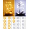 20 Pack Fairy Lights Battery Operated 3.3ft 20 LED Mini