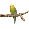 Penn Plax Y-Shaped Wooden Bird Perch, Large