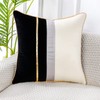 PANOD Patchwork Black Silk-Like Velvet Throw Pillow Cover with Gold