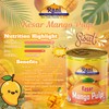 Rani Mango Pulp Puree (Makes Mango Lassi Shakes) Kesar Sweetened