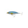 Shimano Xsense Bolacono 80F X AR-C XL-180Q 001 Kyorin Sardine