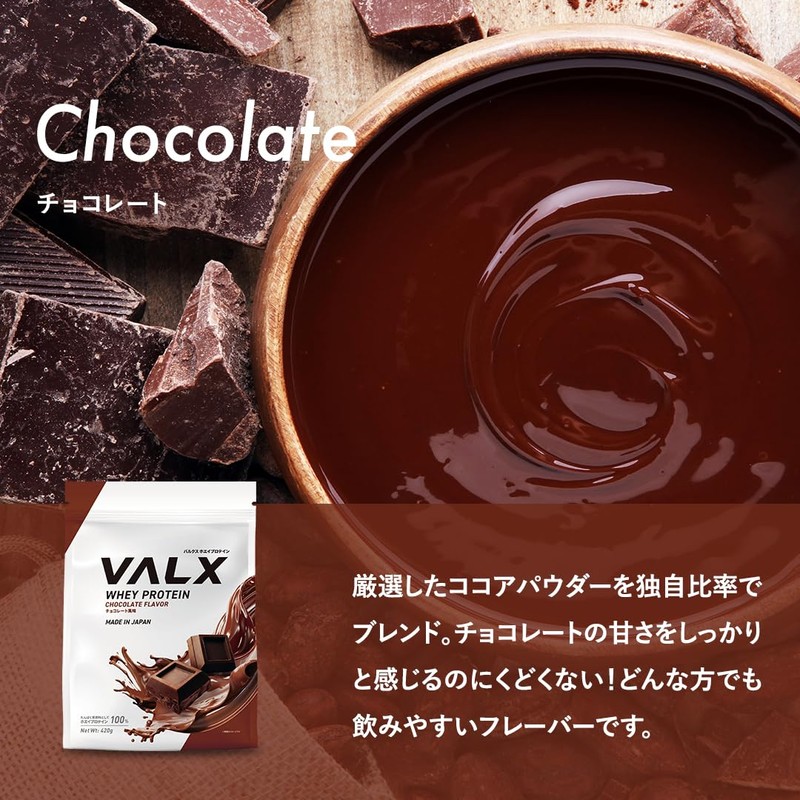 VALX VALX Whey Protein 420g Chocolate Flavor Whey Protein WPC