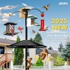 iBorn Smart Bird Feeder Pole with Squirrel Baffle, 87" Camera