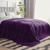 BEDELITE Big Fleece Blanket - 120" x 120" (10' x
