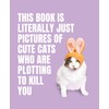 This Book is Literally Just Pictures of Cute Cats Who