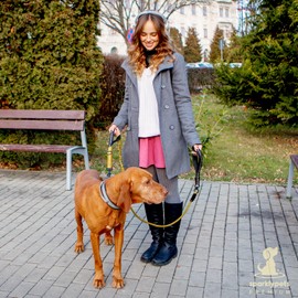 Heavy Duty Rope Bungee Leash for Large and Medium Dogs with Anti-Pull for Shock Absorption - No Slip Reflective Leash for Outside (Adjustable Premium Gold, Bungee Leash- 5.5 Ft)