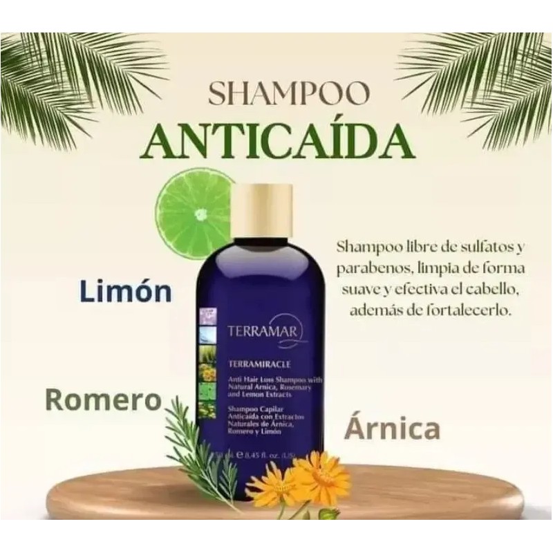 3 Shampoo Anticaída Extracto Romero Y Limón Terramar /250ml