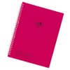 Lihit Lab N1482-3 Clear Book, Replaceable A4, 30 Holes, 10