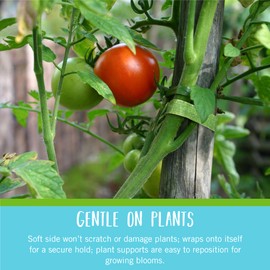 Velcro Brand Adjustable Plant Ties | 75 ft x 1/2 in Green Garden Tape | Reusable, Cut-to-Length Hook & Loop Plant Support for Staking, Training & Organizing Tomatoes, Vines, and Flowers