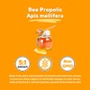 Bee Propolis Extract Capsules 1000mg Supplement for Immune Support, Vitality,