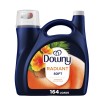 Downy Infusions Radiant Liquid Fabric Softener, Pineapple & Coconut Grove