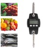 Crane Scale Handheld Portable Digital Accurate Multifunctional Industrial Electronic Hanging