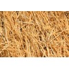 CZ Grain Natural Wheat Straw - 1 LB Dry Straw,
