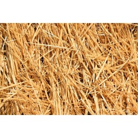 CZ Grain Natural Wheat Straw - 1 LB Dry Straw, Clean and Soft Decorative Straw Bale